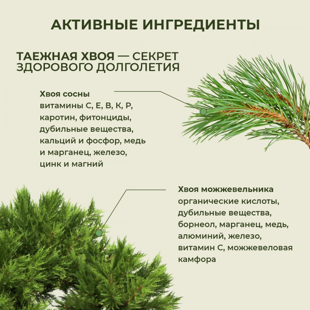 Хвойница - средство для системной поддержки организма